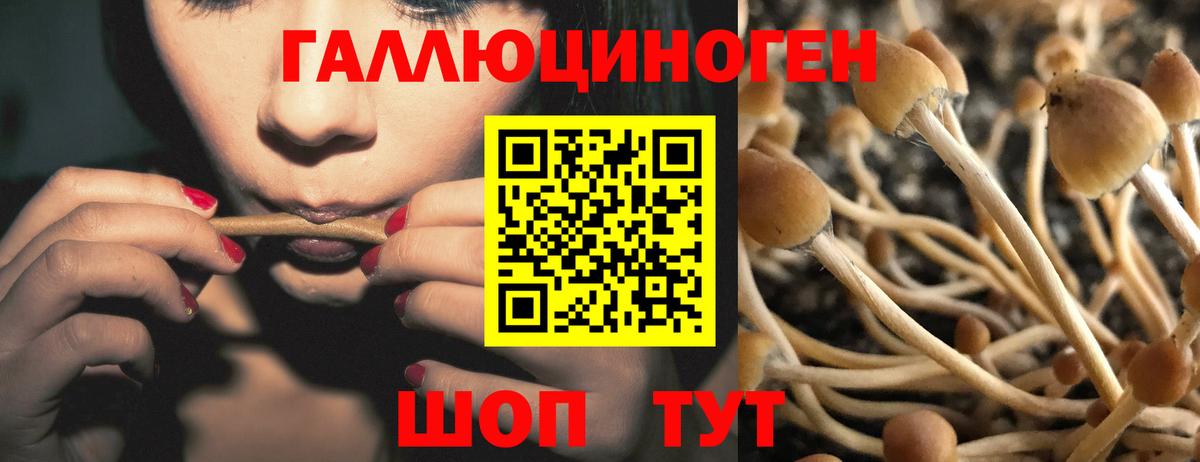 Псилоцибиновые грибы прущие грибы Туймазы